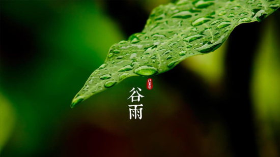 谷雨|喝一杯純凈好水，沐一場人間春色